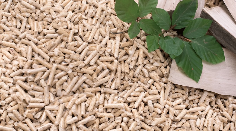 a picture of biomass pellets and woods